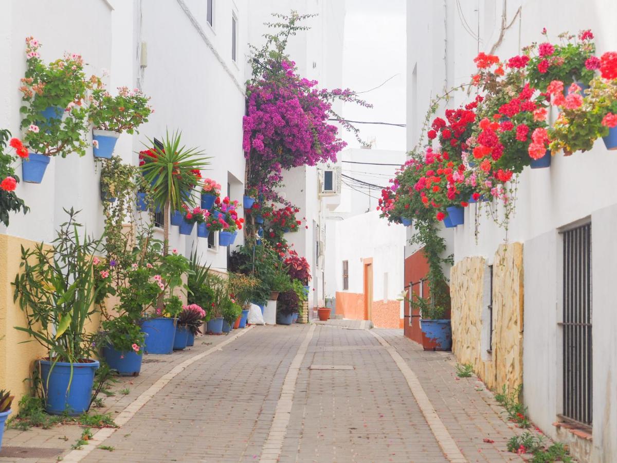 Conilplus Apartamento LENGUADO Conil De La Frontera Esterno foto